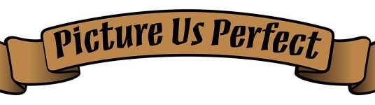 Picture Us Perfect Specialty Decor picture us perfect logo e1501864984949 536x150 - Picture Us Perfect Specialty Decor